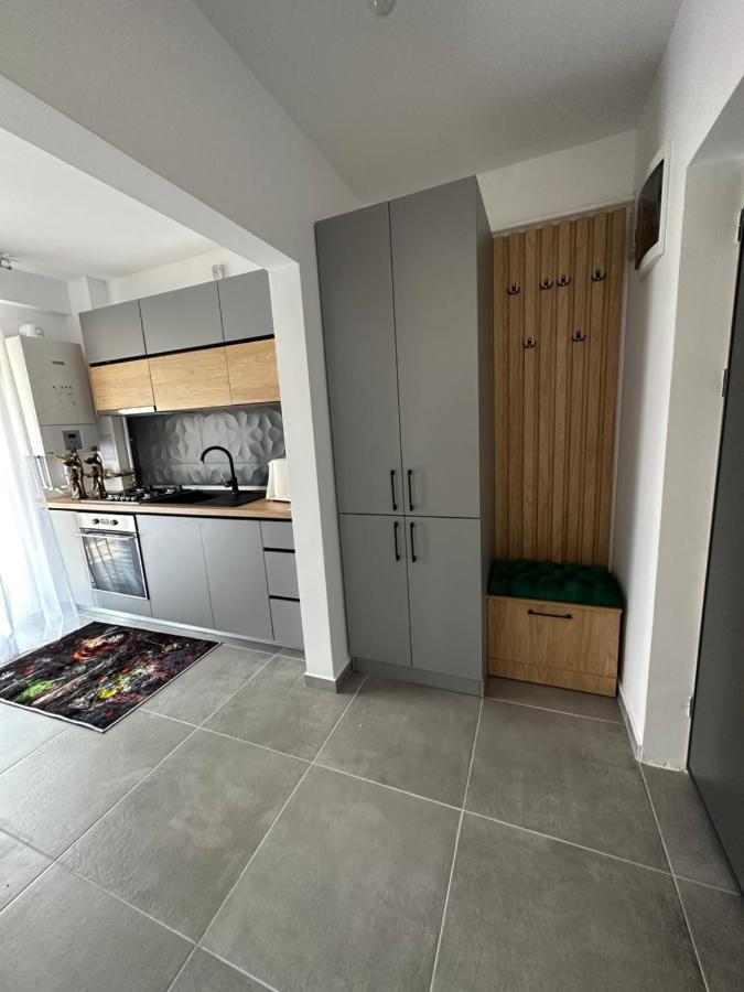 Apartamente Arinis Gura Humorului Esterno foto