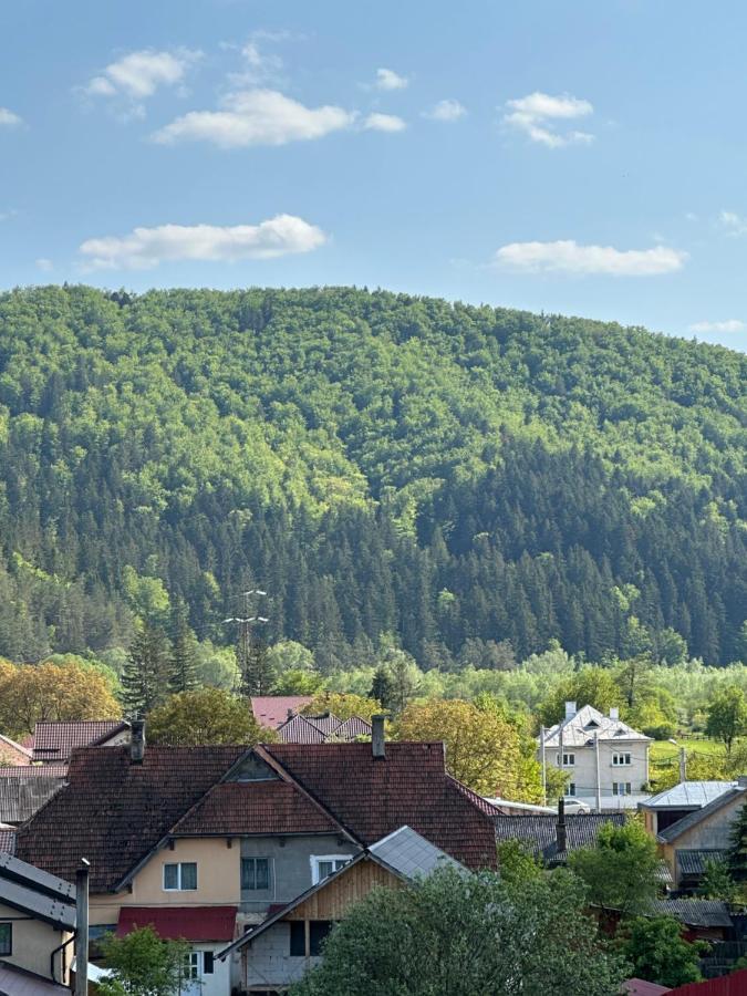 Apartamente Arinis Gura Humorului Esterno foto